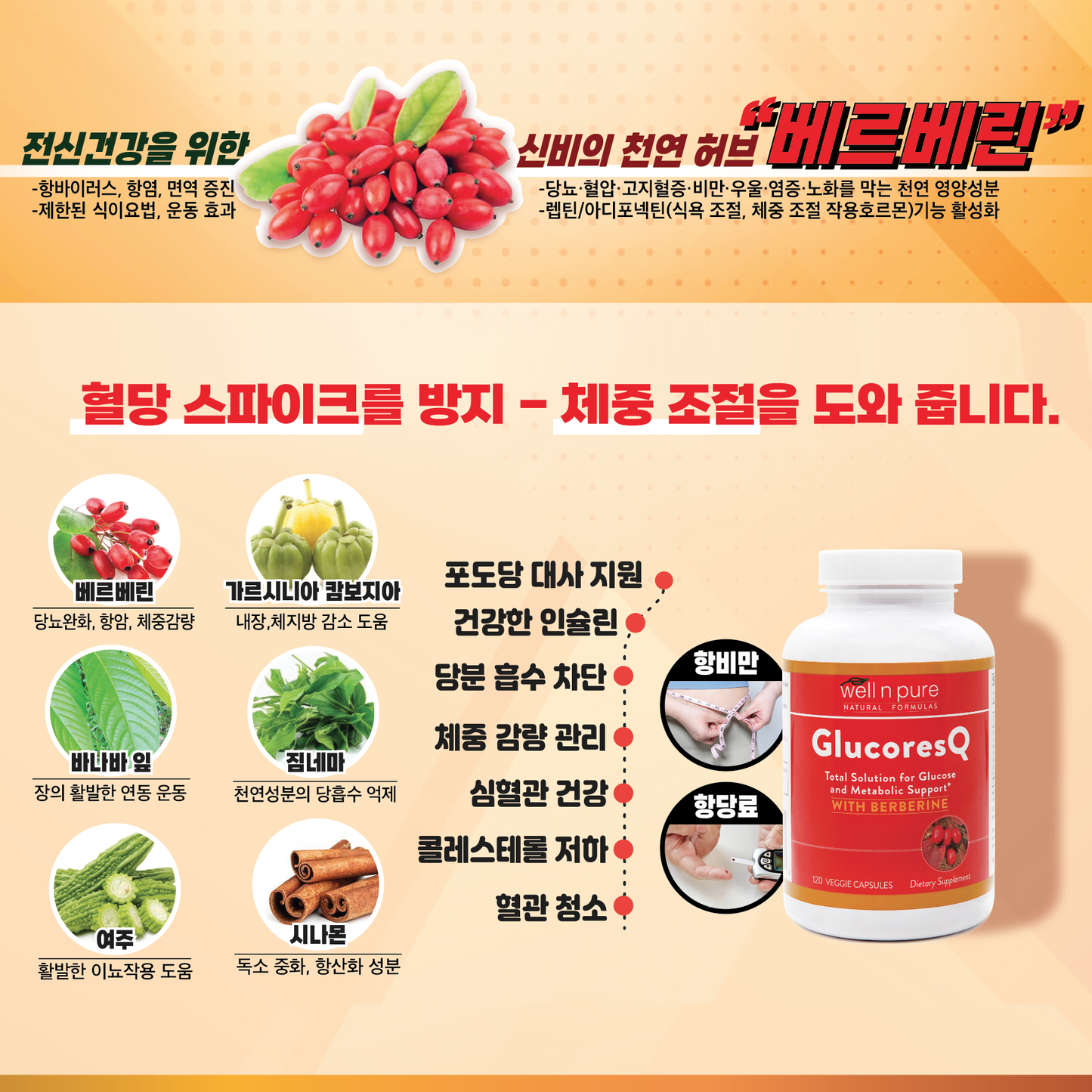 *NEW* GlucoresQ 글루코레스 큐