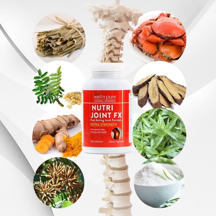 [2+1Free] Nutri Joint FX 뉴트리조인트FX