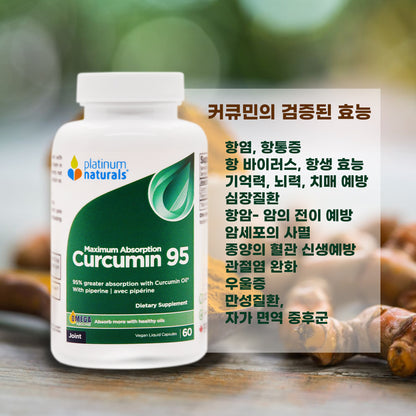 *NEW* Curcumin 95 컬큐민 95